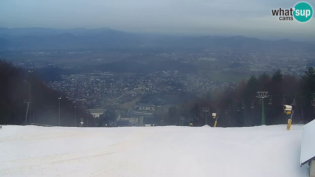 Webcam Pohorje Trikotna Jasa | Poštela