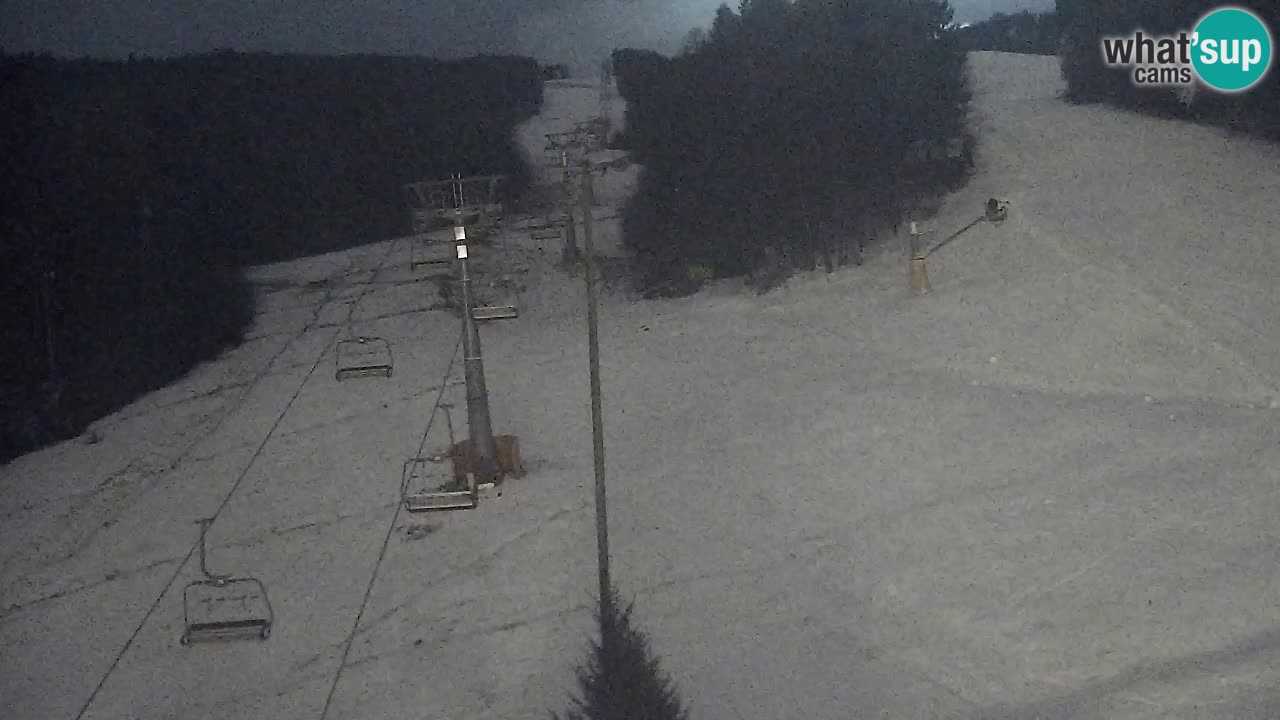 Webcam Pohorje Trikotna Jasa | Poštela