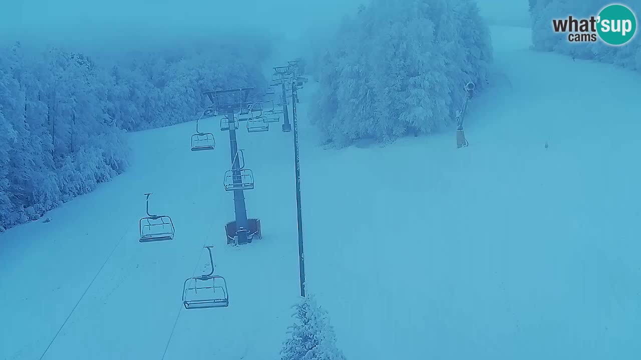 Web Camera Pohorje Trikotna Jasa | Poštela