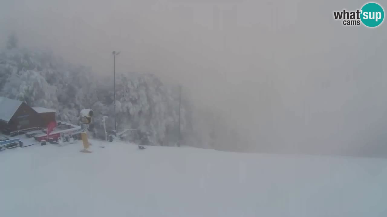 Web Camera Pohorje Trikotna Jasa | Poštela