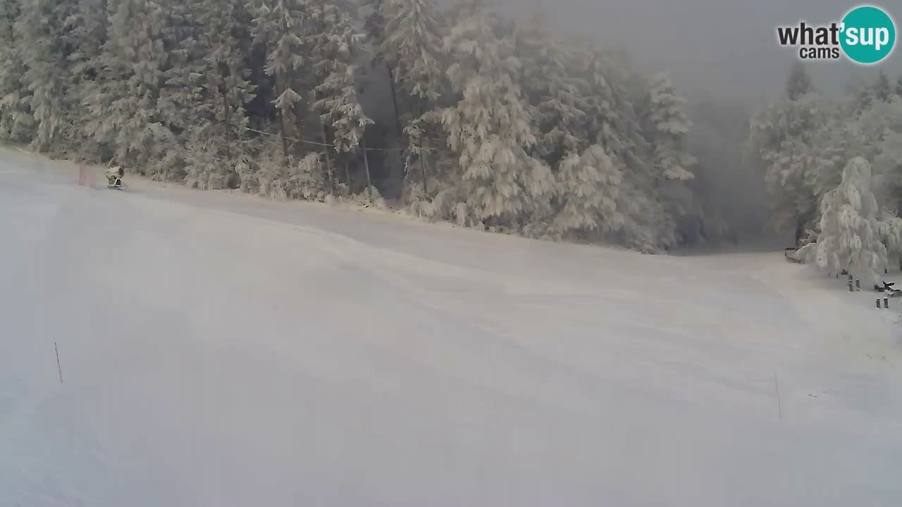 Web Camera Pohorje Trikotna Jasa | Poštela