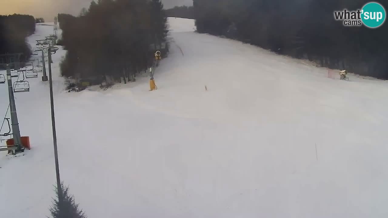 Webcam Pohorje Trikotna Jasa | Poštela