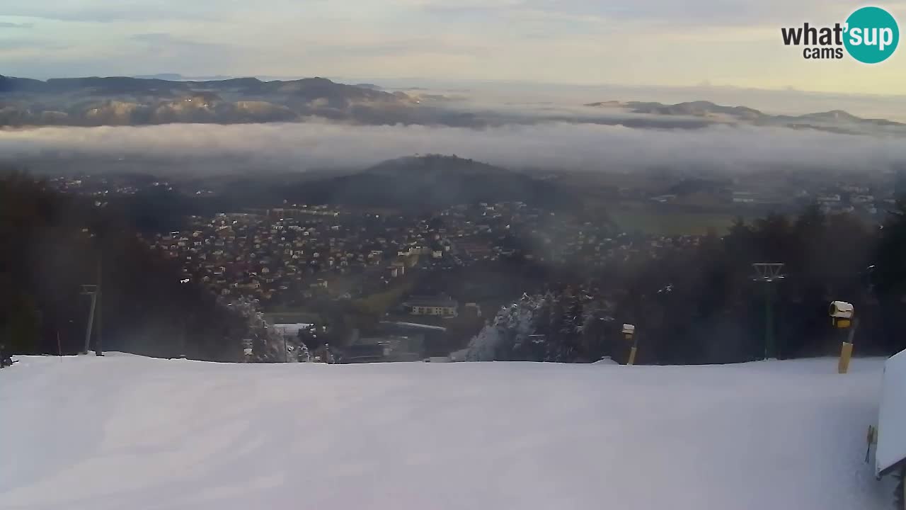 Webcam Pohorje Trikotna Jasa | Poštela