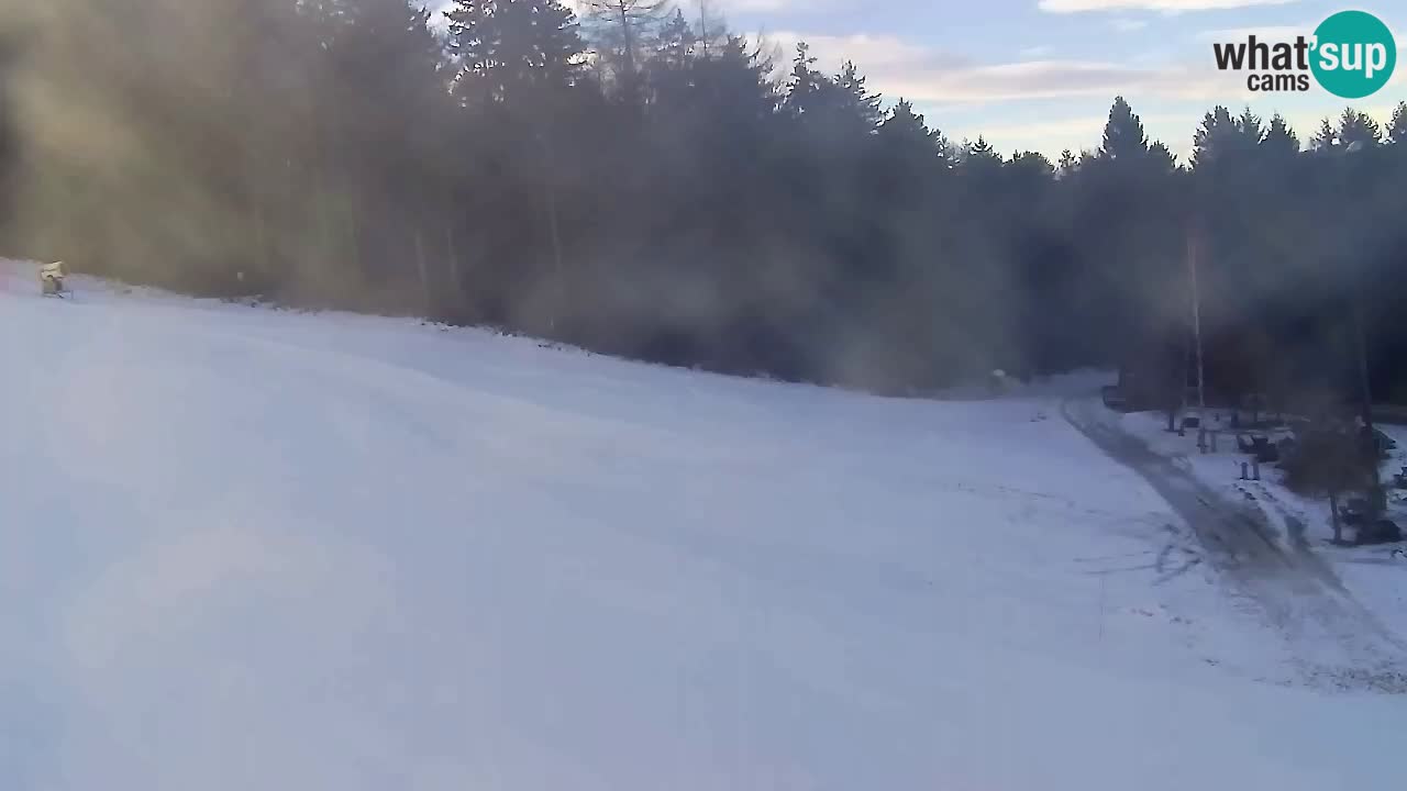 Web Camera Pohorje Trikotna Jasa | Poštela