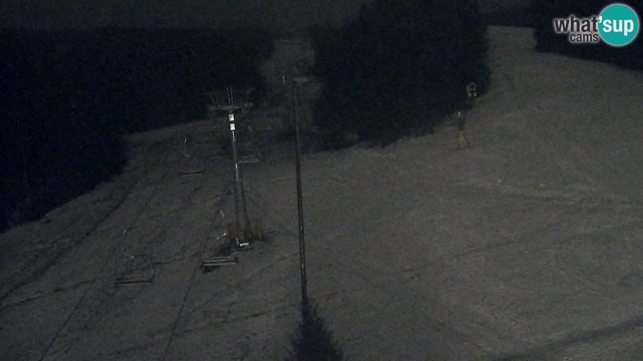 Webcam Pohorje Trikotna Jasa | Poštela