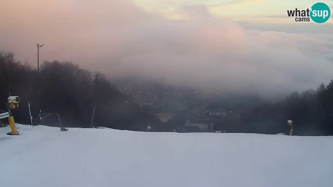 Webcam Pohorje Trikotna Jasa | Poštela