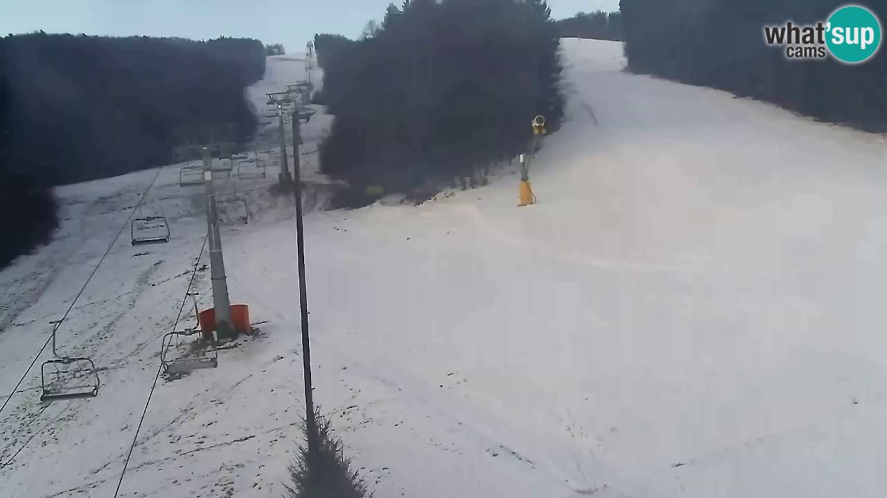 Webcam Pohorje Trikotna Jasa | Poštela