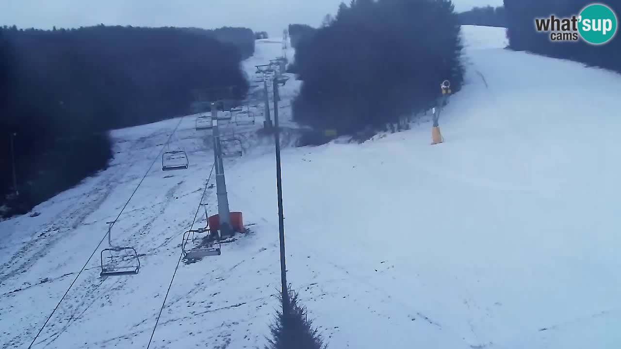 Webcam Pohorje Trikotna Jasa | Poštela