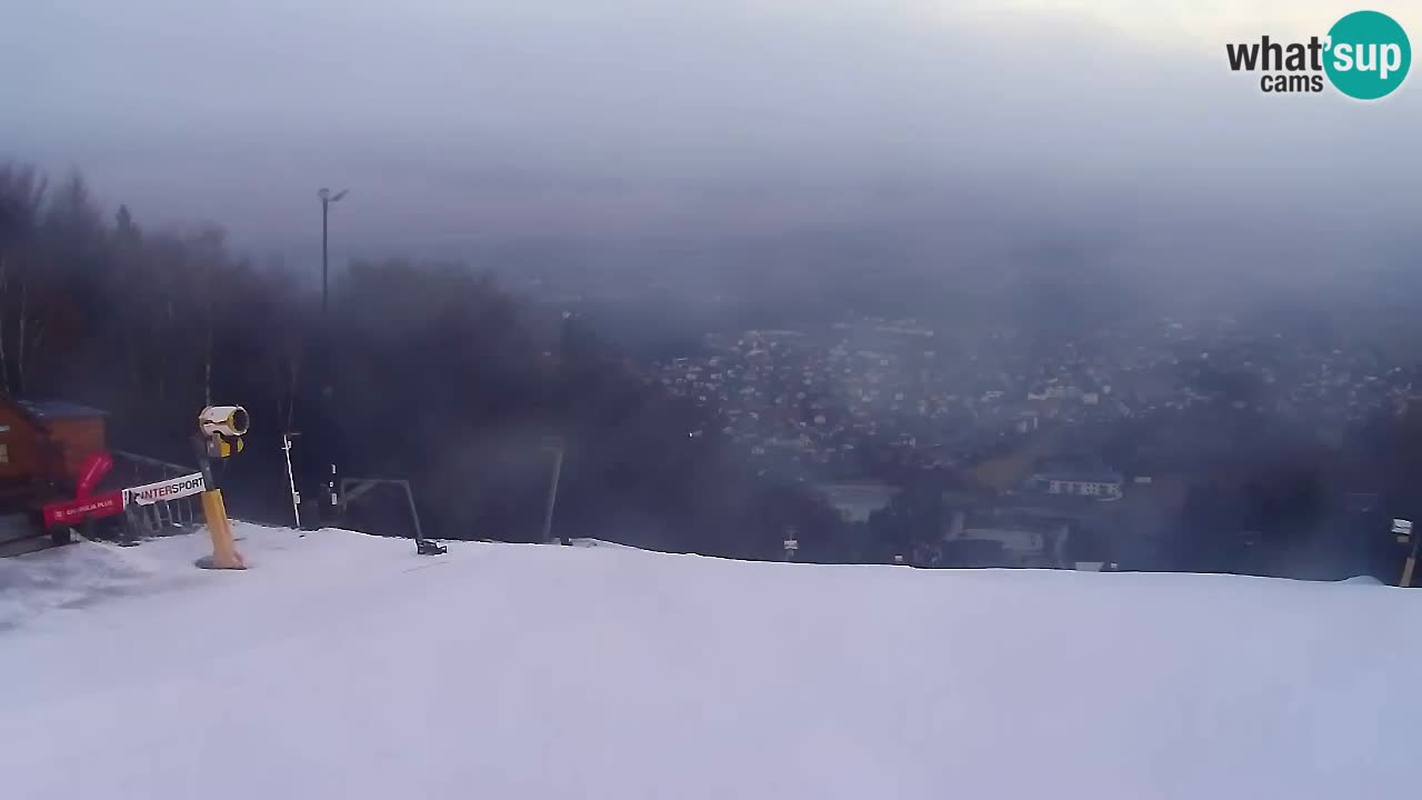 Webcam Pohorje Trikotna Jasa | Poštela