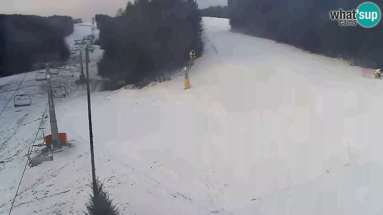 Webcam Pohorje Trikotna Jasa | Poštela