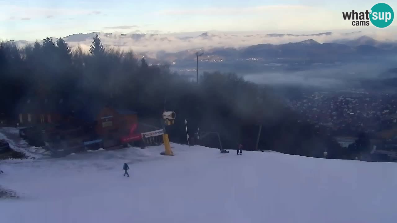 Webcam Pohorje Trikotna Jasa | Poštela