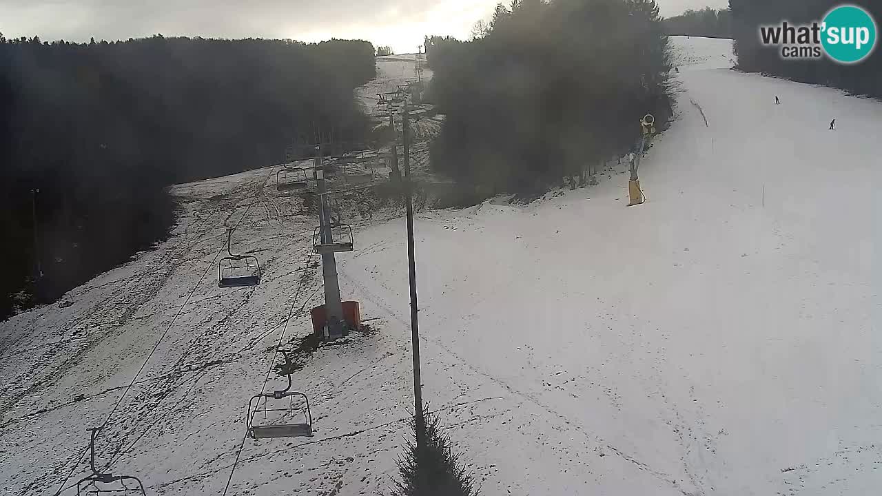 Webcam Pohorje Trikotna Jasa | Poštela