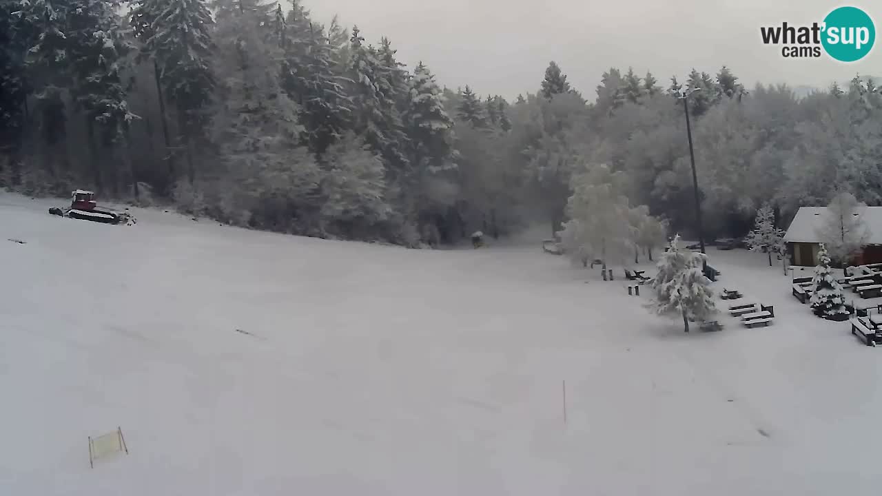 Webcam Pohorje Trikotna Jasa | Poštela