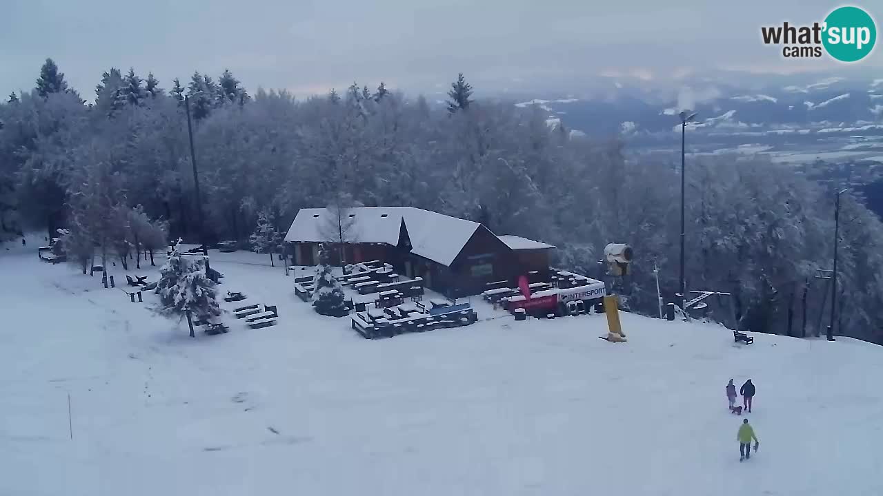 Webcam Pohorje Trikotna Jasa | Poštela