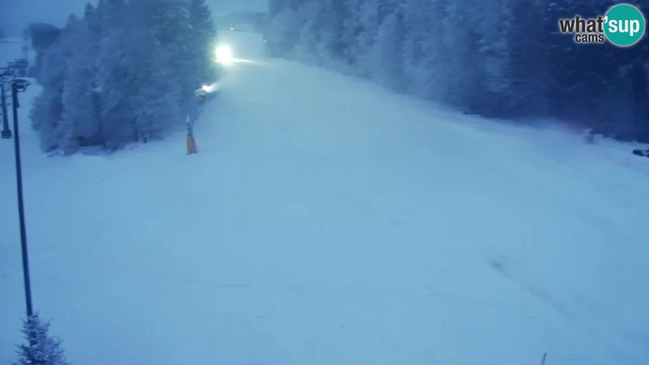 Web Camera Pohorje Trikotna Jasa | Poštela