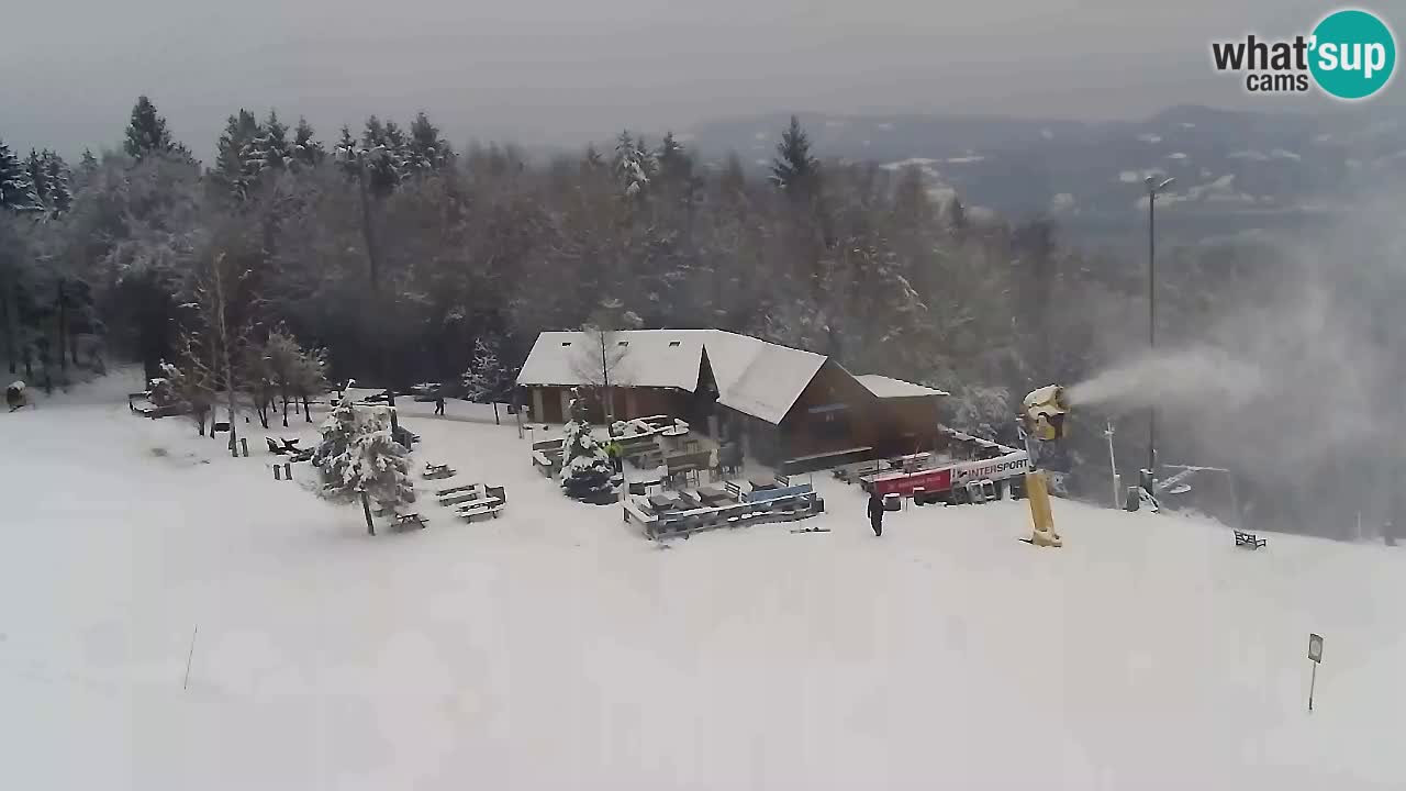 Webcam Pohorje Trikotna Jasa | Poštela