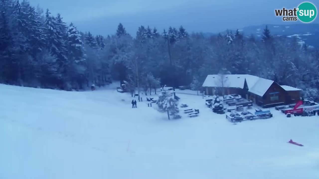 Webcam Pohorje Trikotna Jasa | Poštela