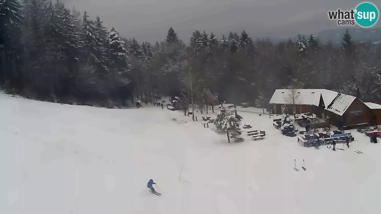 Webcam Pohorje Trikotna Jasa | Poštela