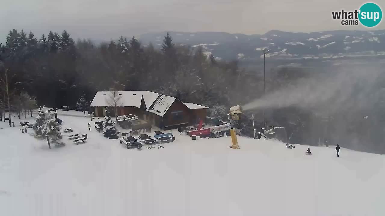 Webcam Pohorje Trikotna Jasa | Poštela