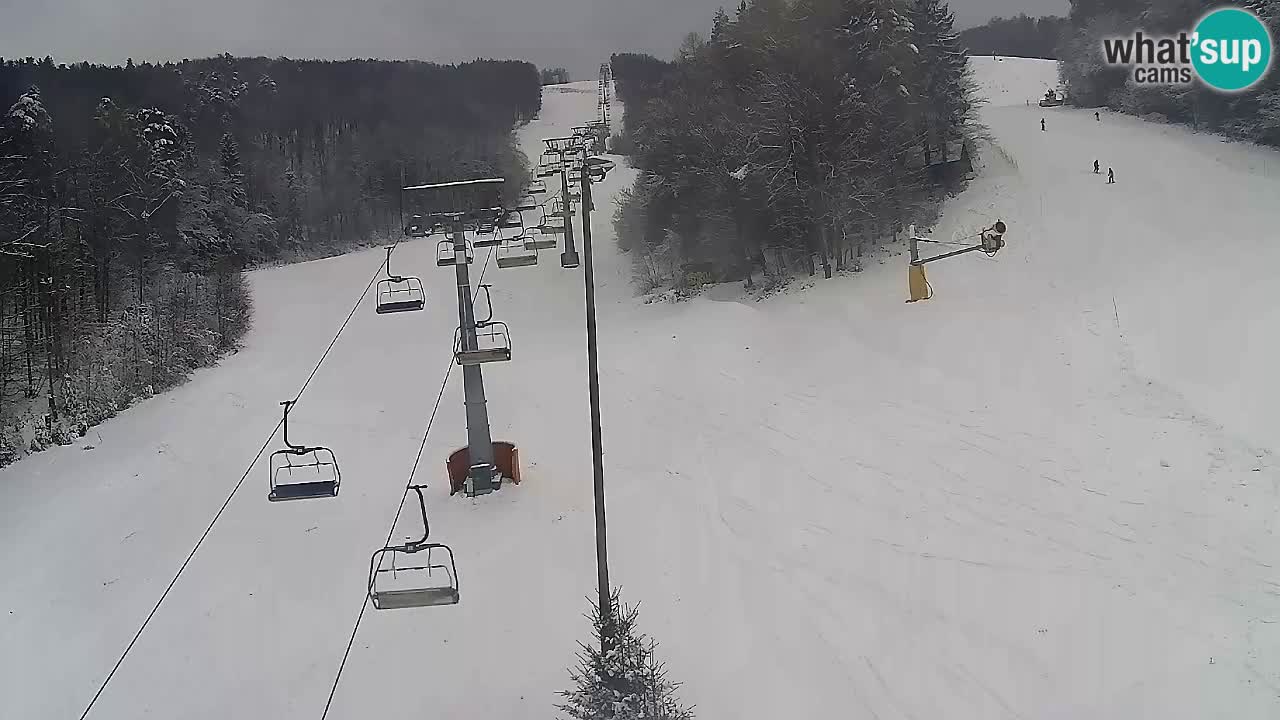 Webcam Pohorje Trikotna Jasa | Poštela