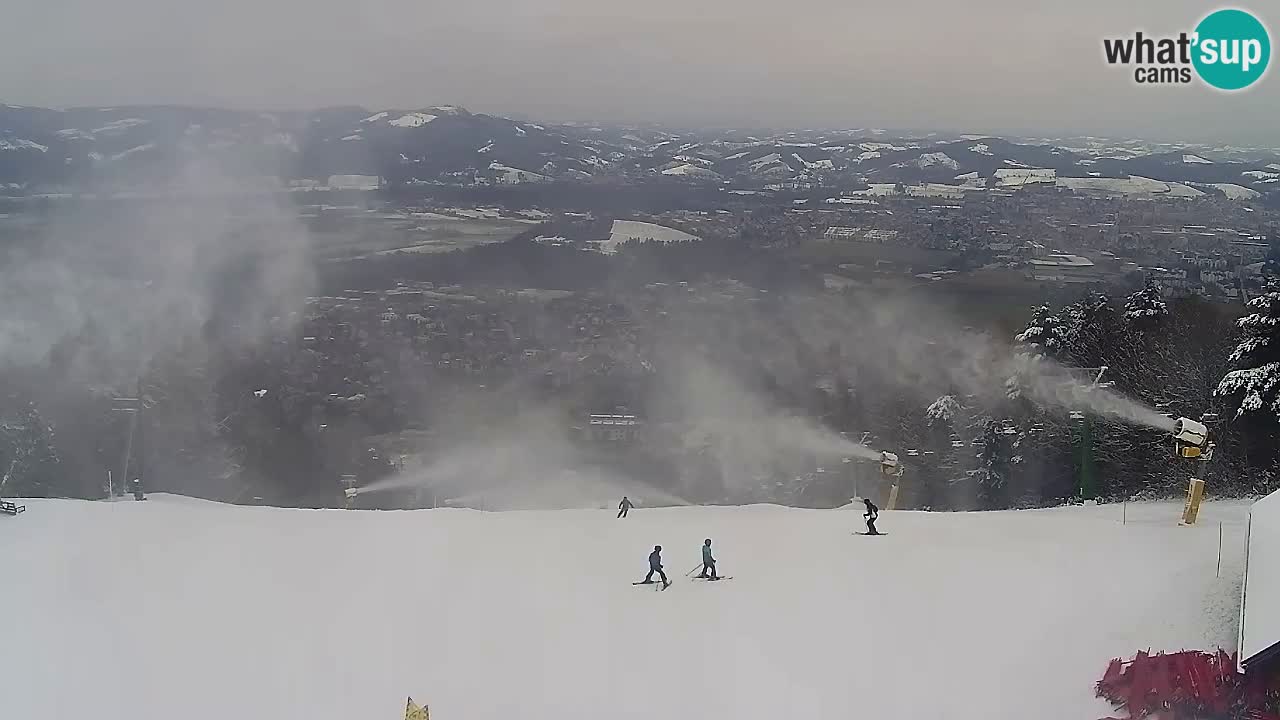 Webcam Pohorje Trikotna Jasa | Poštela