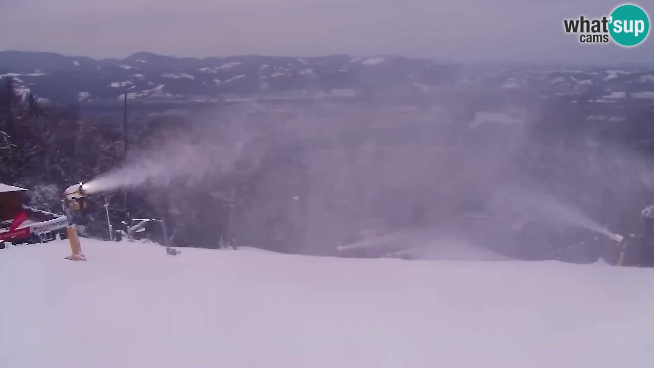 Webcam Pohorje Trikotna Jasa | Poštela