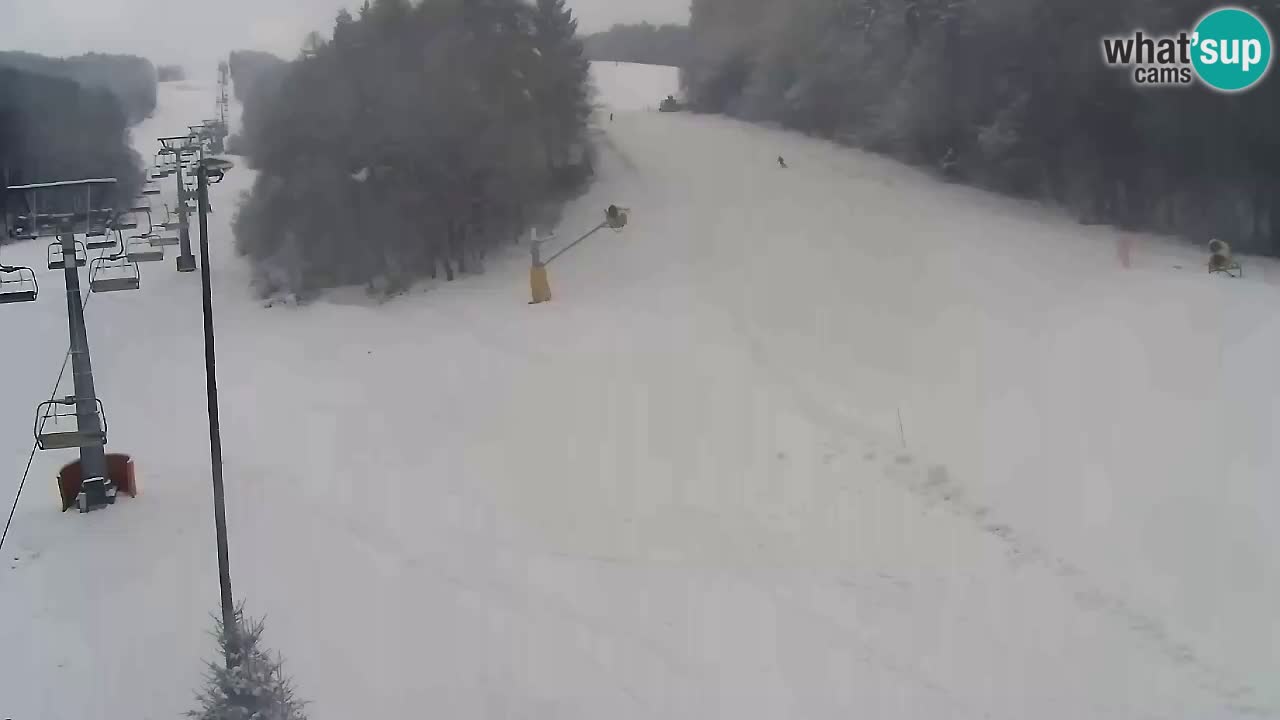 Webcam Pohorje Trikotna Jasa | Poštela