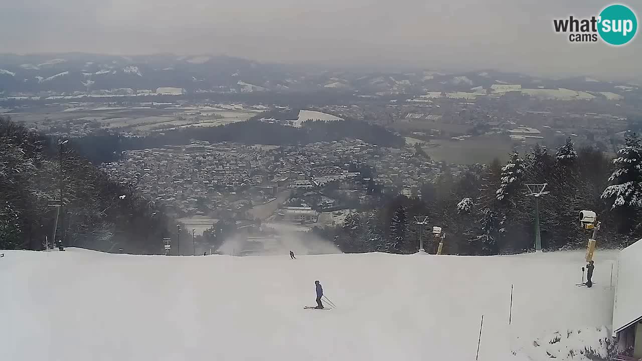 Webcam Pohorje Trikotna Jasa | Poštela