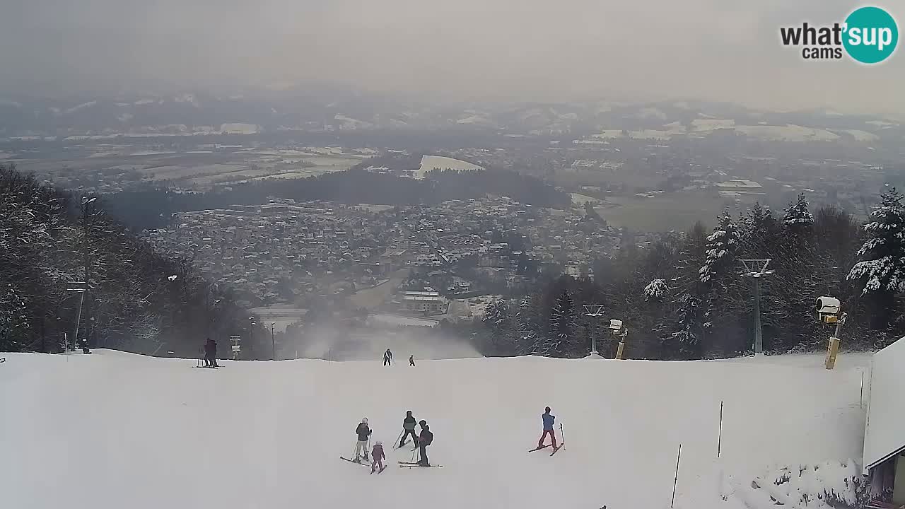 Webcam Pohorje Trikotna Jasa | Poštela