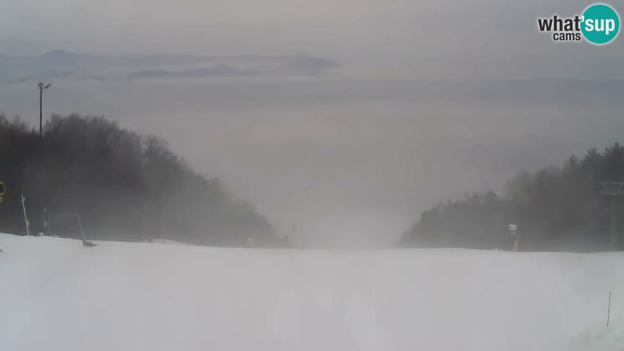 Webcam Pohorje Trikotna Jasa | Poštela