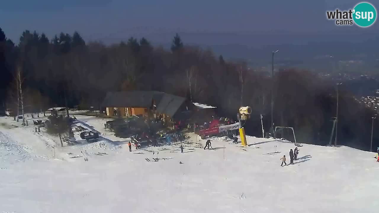 Webcam Pohorje Trikotna Jasa | Poštela