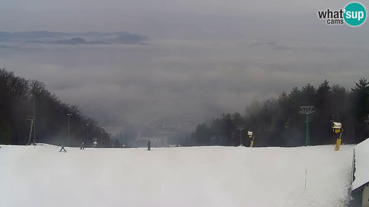 Spletna Kamera Pohorje Trikotna Jasa | Poštela