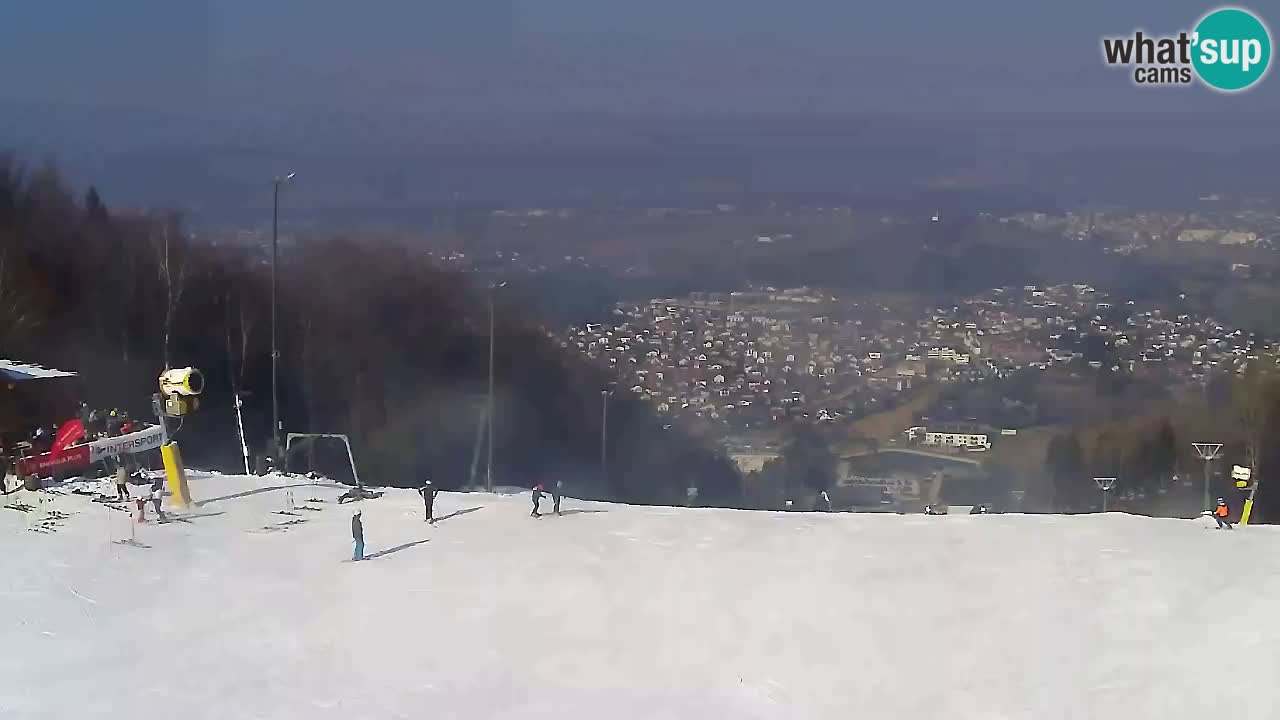 Webcam Pohorje Trikotna Jasa | Poštela