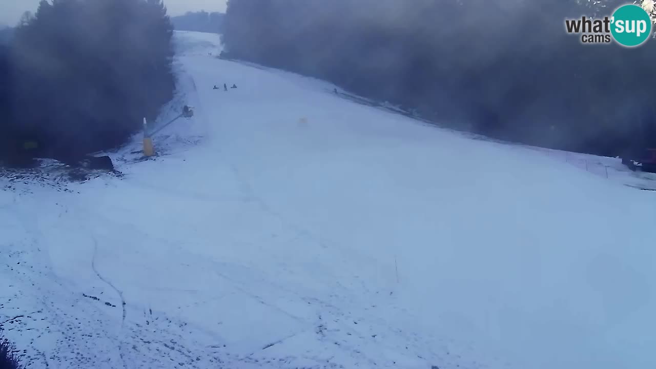 Web Camera Pohorje Trikotna Jasa | Poštela