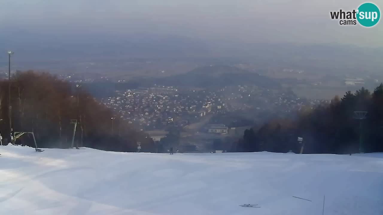 Webcam Pohorje Trikotna Jasa | Poštela