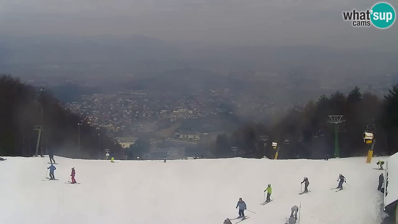 Webcam Pohorje Trikotna Jasa | Poštela