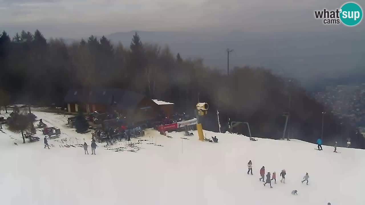 Webcam Pohorje Trikotna Jasa | Poštela