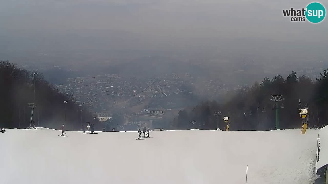 Webcam Pohorje Trikotna Jasa | Poštela