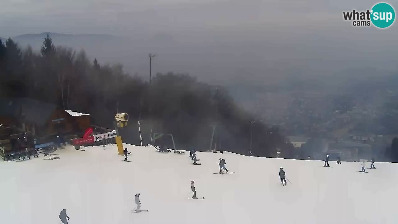 Webcam Pohorje Trikotna Jasa | Poštela