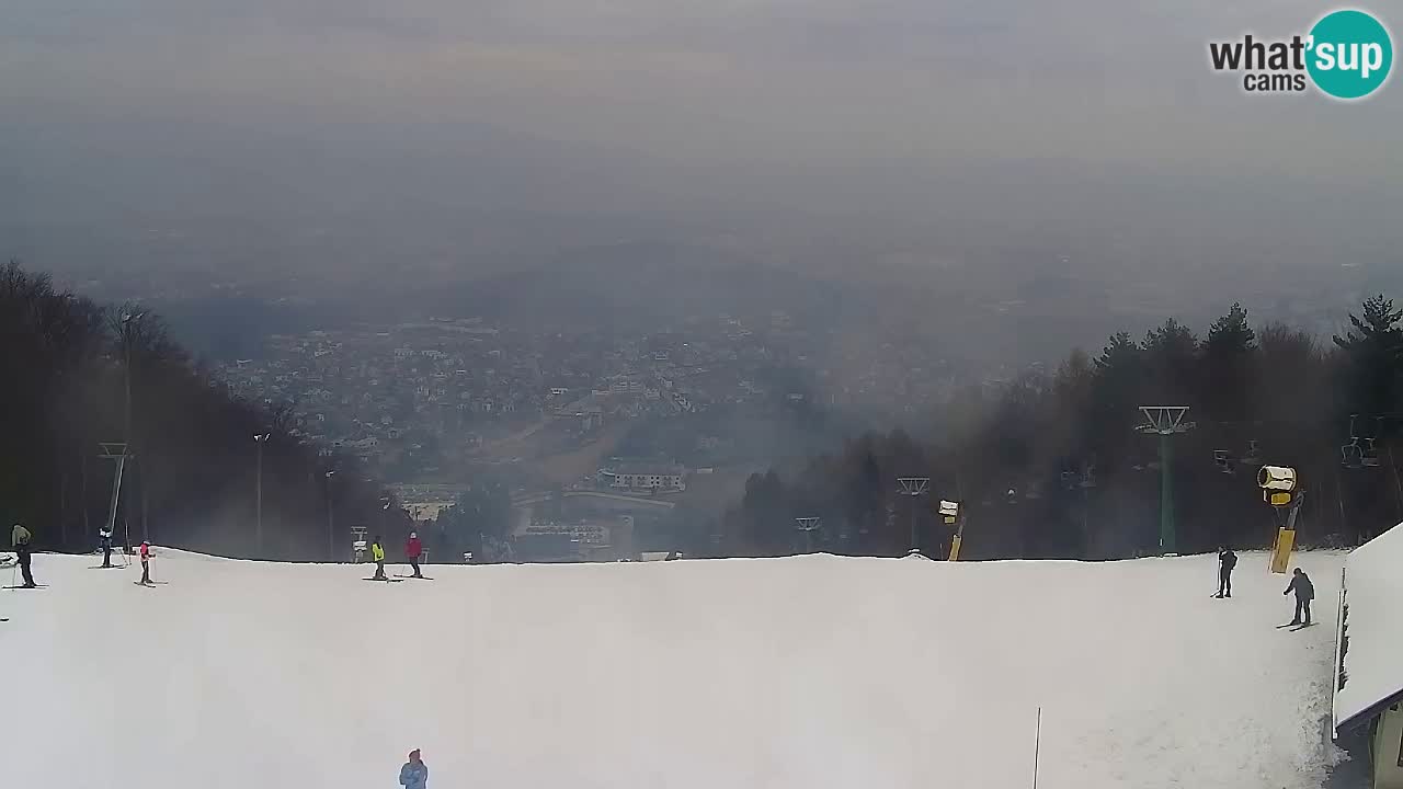 Webcam Pohorje Trikotna Jasa | Poštela