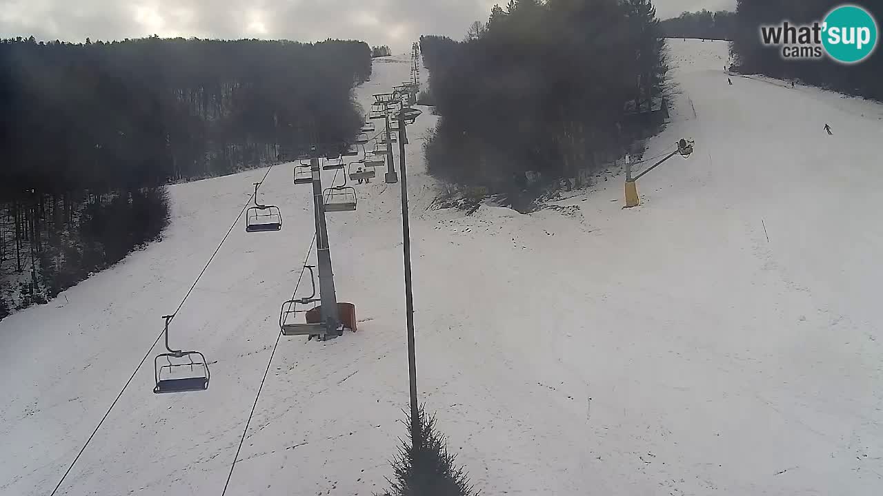 Webcam Pohorje Trikotna Jasa | Poštela