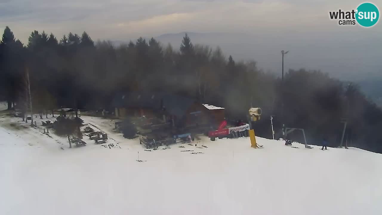 Webcam Pohorje Trikotna Jasa | Poštela