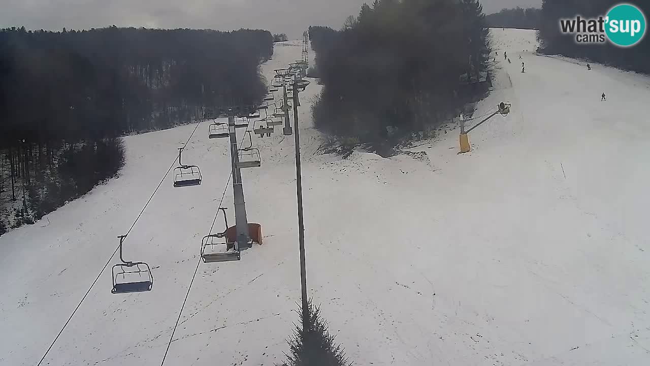 Webcam Pohorje Trikotna Jasa | Poštela