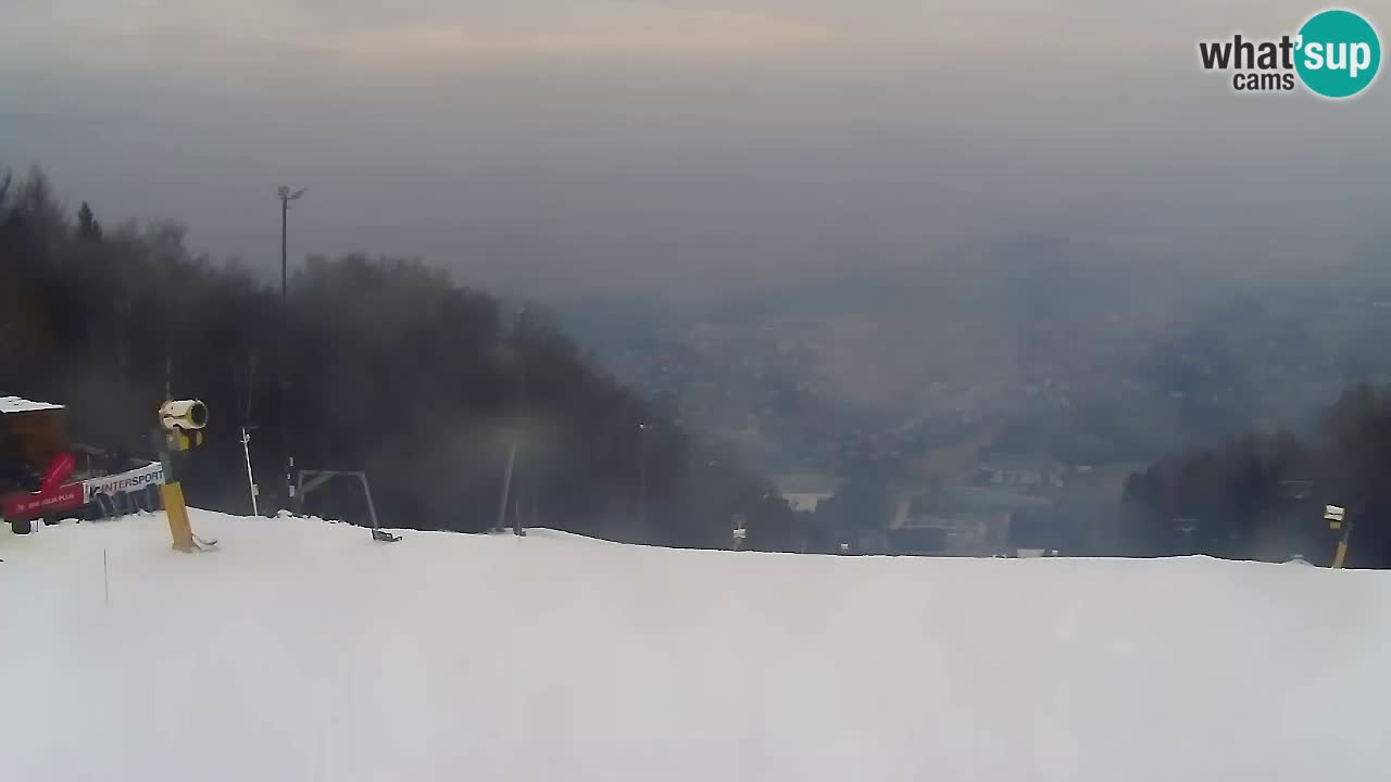 Webcam Pohorje Trikotna Jasa | Poštela