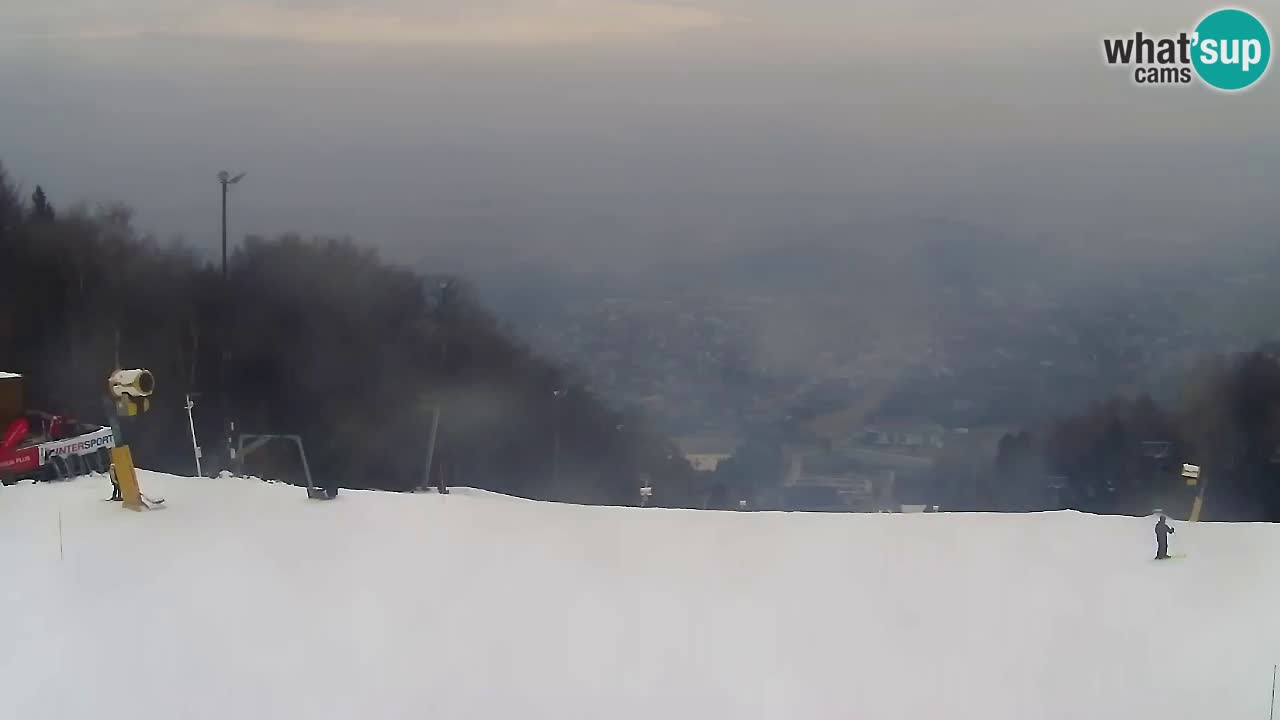 Webcam Pohorje Trikotna Jasa | Poštela