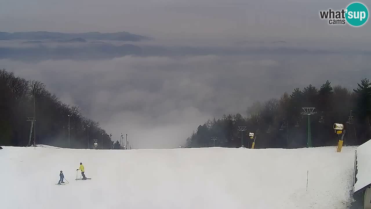 Spletna Kamera Pohorje Trikotna Jasa | Poštela