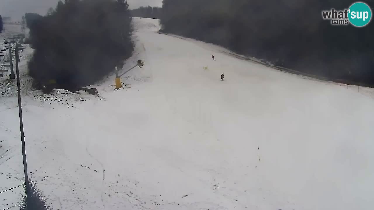 Web Camera Pohorje Trikotna Jasa | Poštela