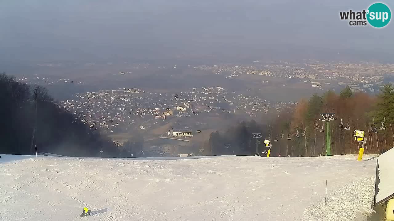 Webcam Pohorje Trikotna Jasa | Poštela