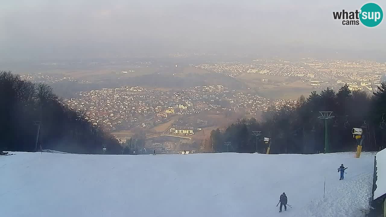 Webcam Pohorje Trikotna Jasa | Poštela