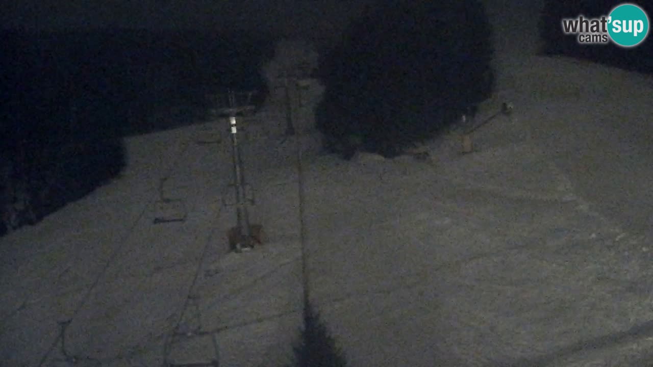 Webcam Pohorje Trikotna Jasa | Poštela